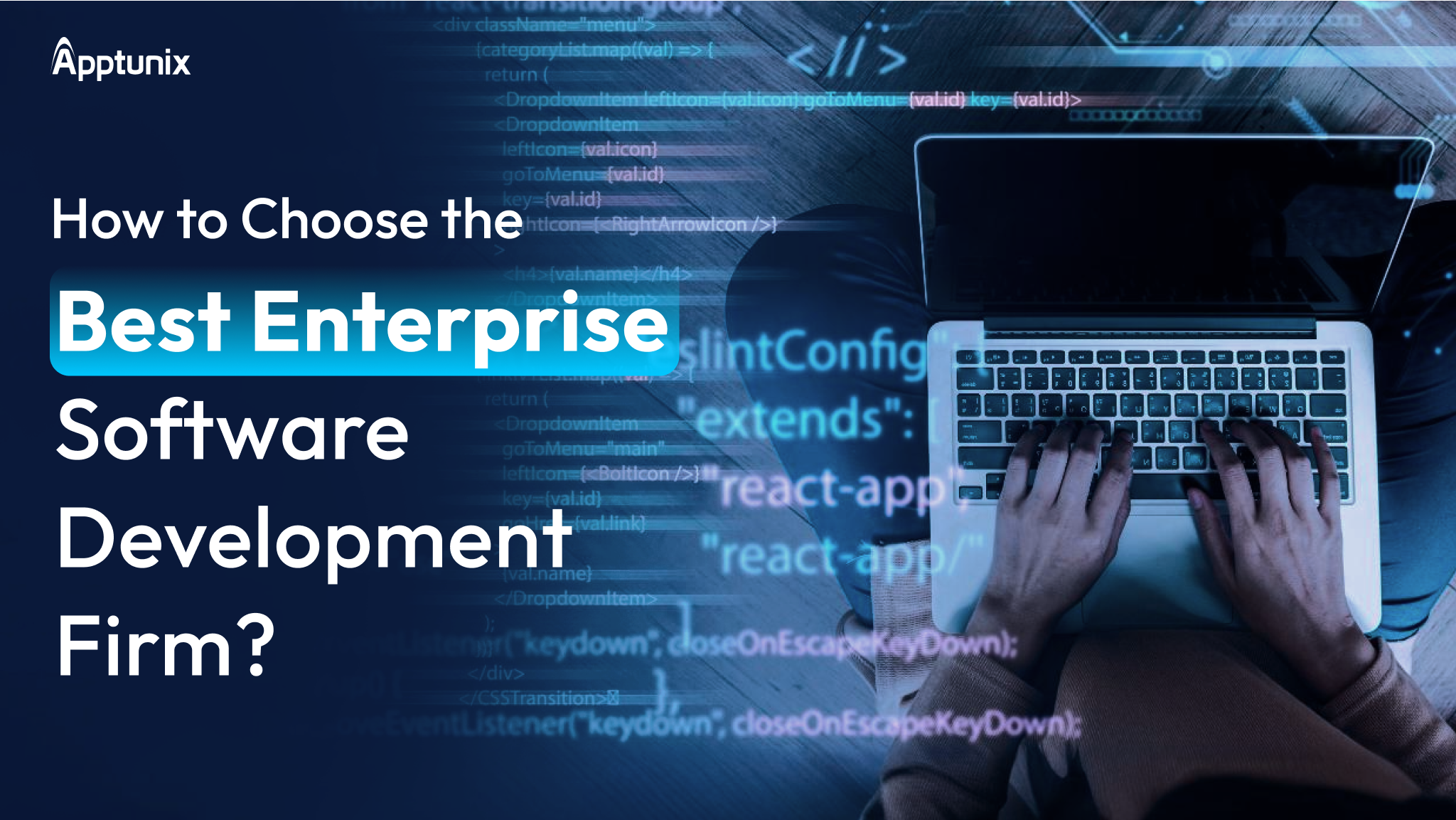 Enterprise Software Development Firm