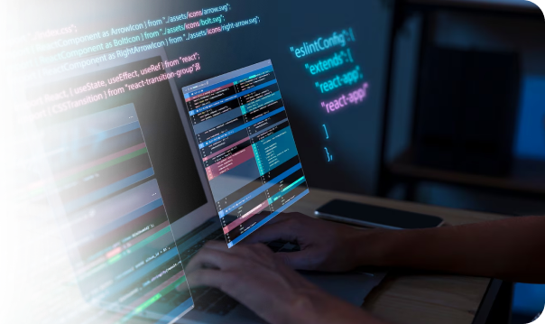 custom software development services