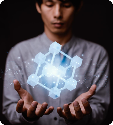 custom software development services